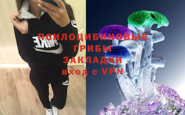 бошки Гусиноозёрск