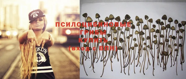 бошки Гусиноозёрск