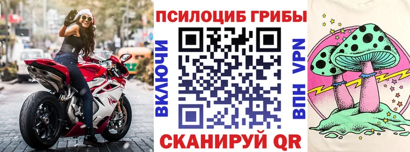 блэк спрут как войти  Калуга  Псилоцибиновые грибы ЛСД  что такое наркотик 
