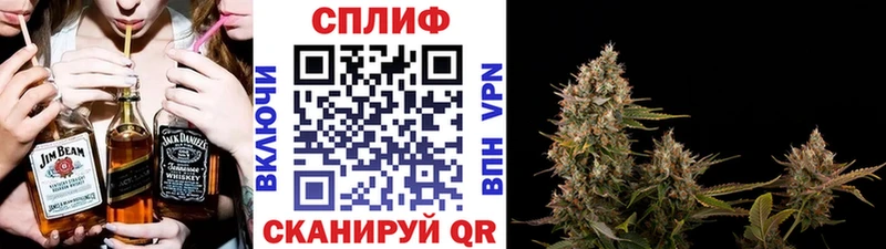Бошки марихуана сатива  МЕГА ссылка  Калуга 